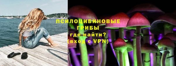 mix Белокуриха