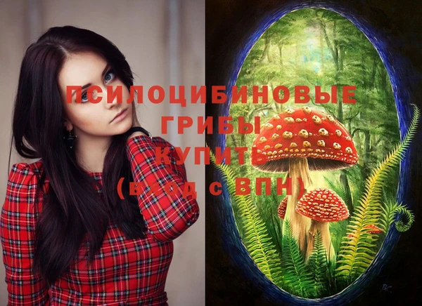 mix Белокуриха